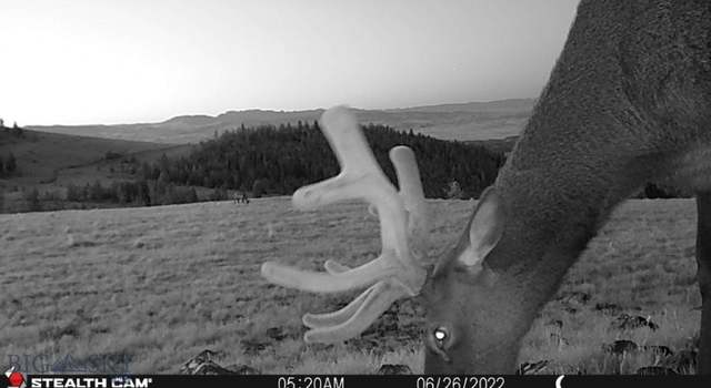 Photo of 10840 Indian Creek Rd, Townsend, MT 59644