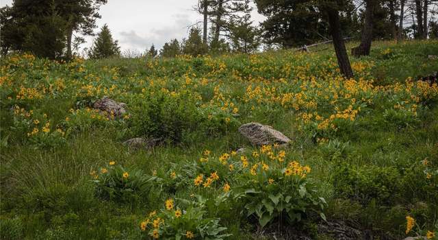 Photo of 5 Tract, Bull Elk, Drummond, MT 59823