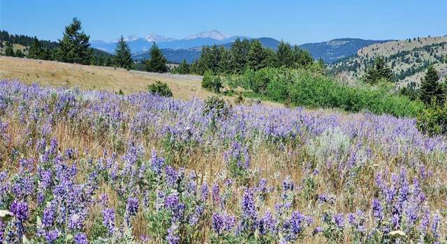 Photo of TBD Bull Run Gulch Rd, Walkerville, MT 59701