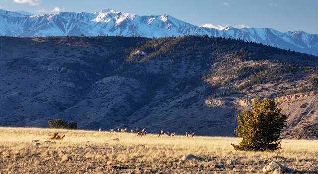 Photo of TBD Susie Creek Rd, Mcleod, MT 59052