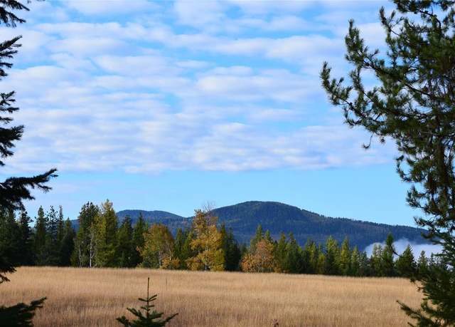 Property at NHN Timber Mdws, Other - See Remarks, MT 59874