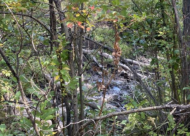 Property at NHN Arlie Tracts Lot 30, MT 59411
