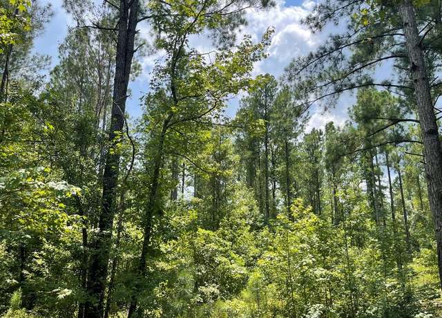 Property at 1001 Highway 10, Clopton, AL 36317