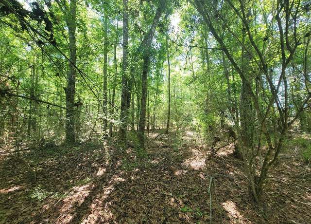 Property at 0 Hwy 27, Geneva, AL 36340