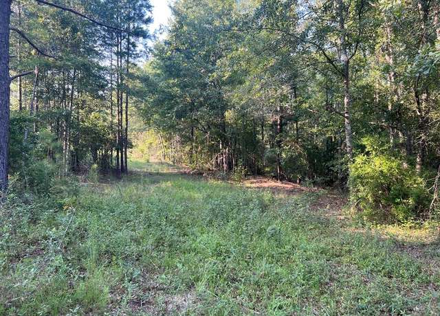 Property at 0 53 Hwy, Clio, AL 36017