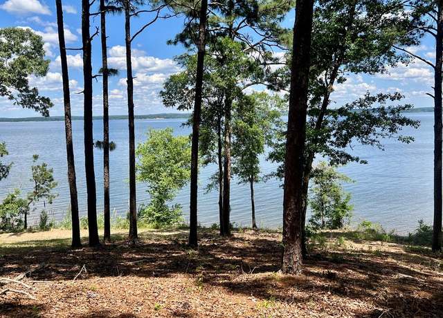 Property at 171 Lakeview Ter, Abbeville, AL 36310