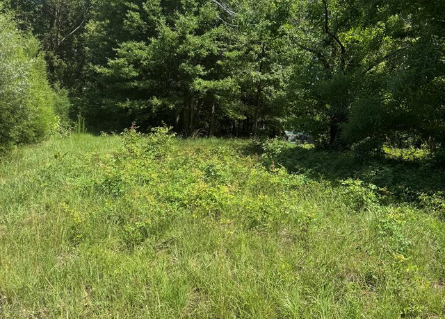 Property at 0 Davis Dr, Georgetown, GA 39854