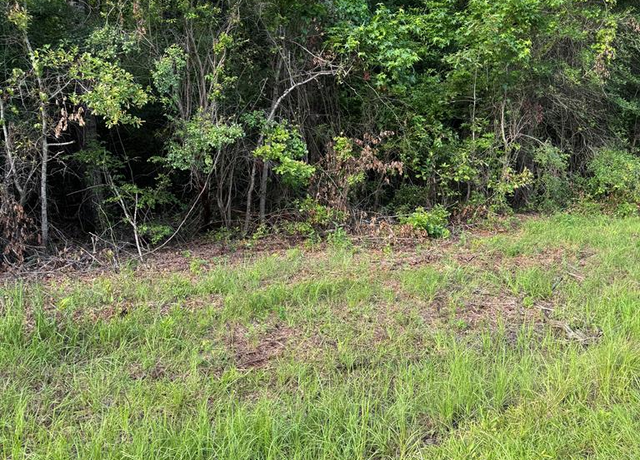 Property at 362 Timber Ln, Abbeville, AL 36310