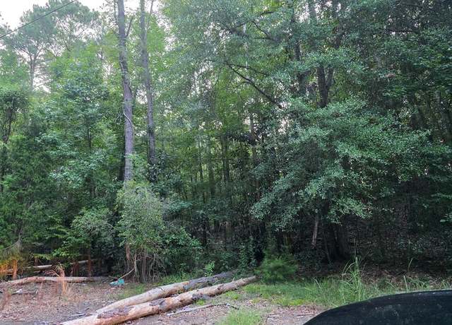 Property at 0 Sandy Dr, Georgetown, GA 39854