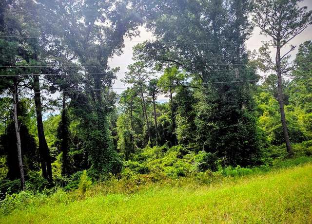 Property at 0 County Rd 99, Newville, AL 36353
