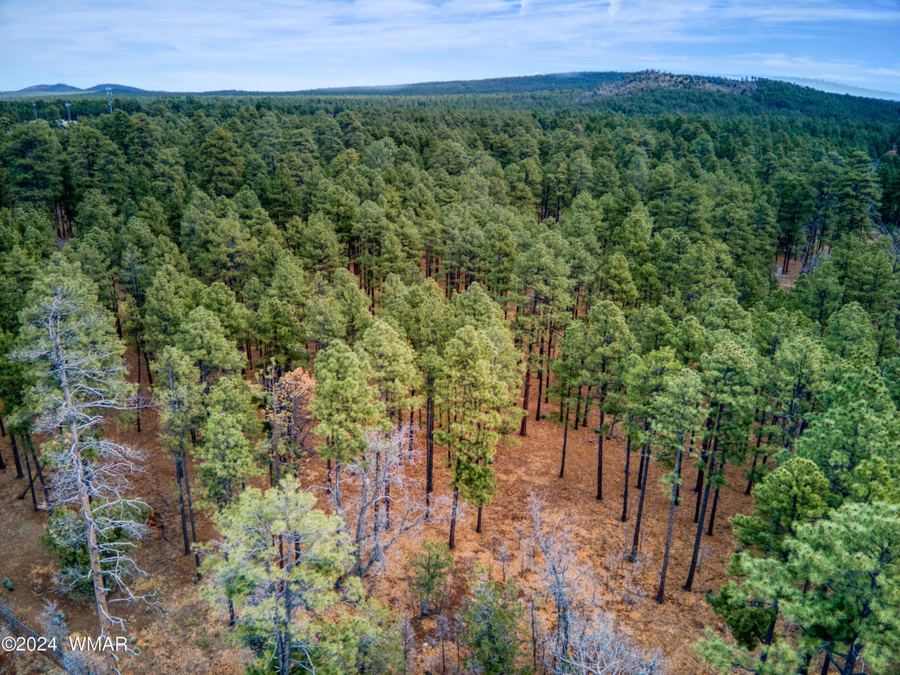 TBD Lakeside Summer Homes 4, Lakeside, AZ 85929 MLS 249119 Redfin