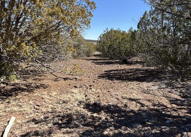 Property at TBd 107-10-334, Concho, AZ 85924