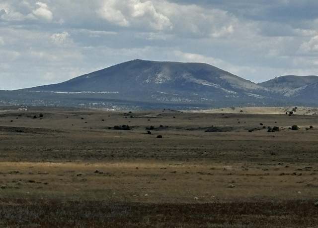 Property at 53C County Road 3373, Concho, AZ 85924