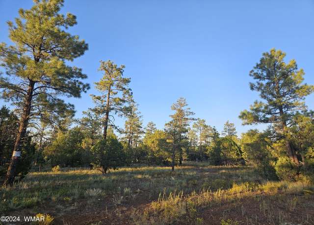 Property at 4843 W Bison Trl, Lakeside, AZ 85929