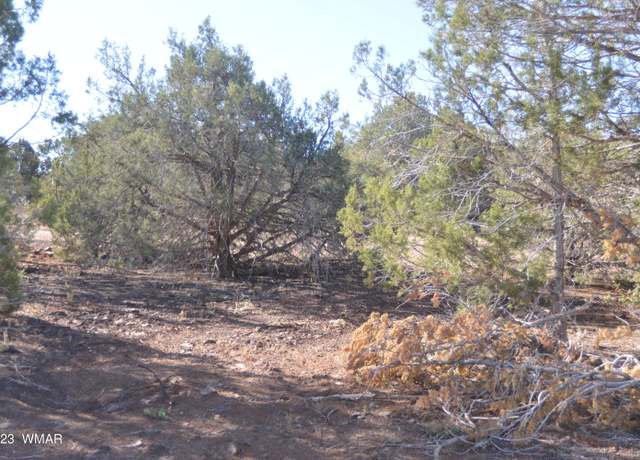 Property at 1885 Daggs Pl, Show Low, AZ 85901