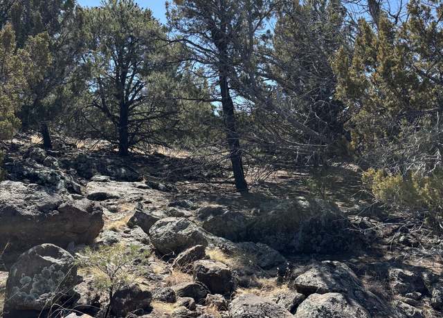 Property at 239 Geronimo Dr, Concho, AZ 85924