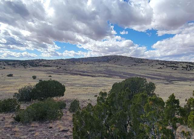 Property at TBD CR N5337, Concho, AZ 85924