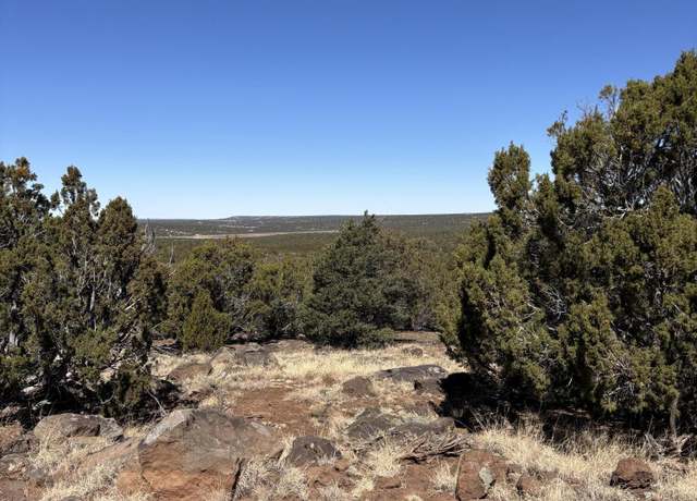 Property at 30 County Rd #8231, Concho, AZ 85924