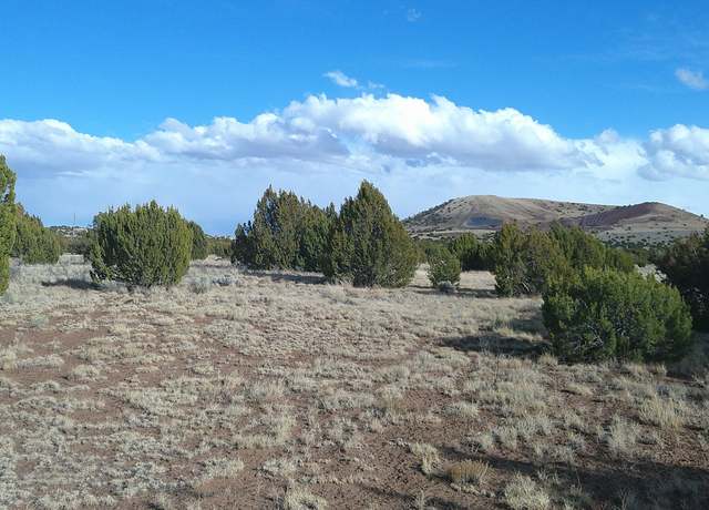 Property at 59 County Road 5101, Concho, AZ 85924