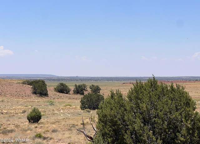 Property at 104 N9328, Concho, AZ 85924