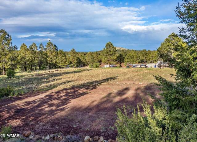 Property at 34 N 1330, Greer, AZ 85927