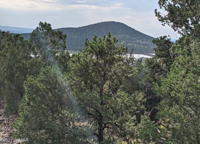 Property at lot 76 Dolly Dr, Vernon, AZ 85940