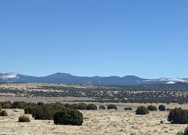 Property at TBD Lot 185 Lakeview Ranch Unit 4, Concho, AZ 85924