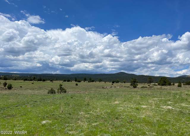 Property at Tract 3 County Road N1334, Greer, AZ 85927