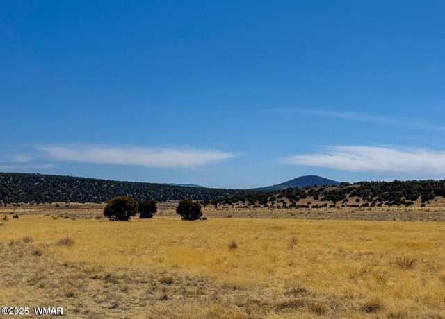 Property at 58 & 136 Co Rd 8253, Concho, AZ 85924