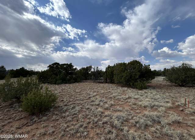 Property at 291 County Rd 8052, Concho, AZ 85924