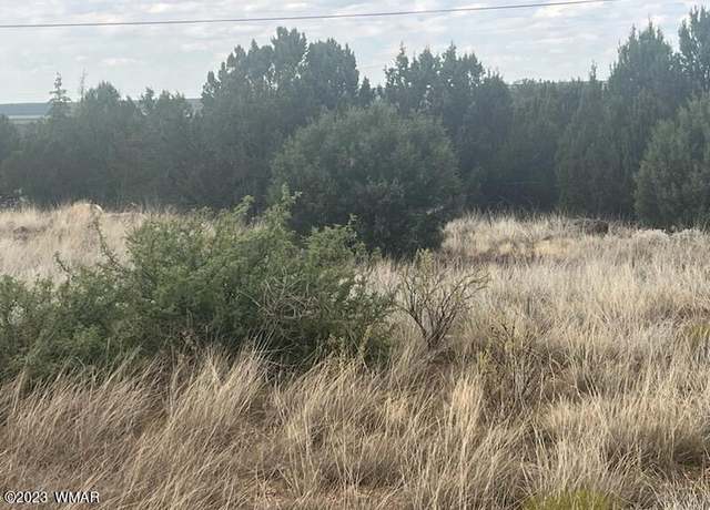 Property at 8422 Navajo Dr, Show Low, AZ 85901