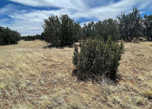 Property at 29 County Road 8069, Concho, AZ 85924