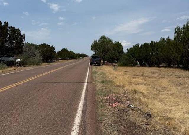 Property at 8700 Silver Creek Dr, Show Low, AZ 85901