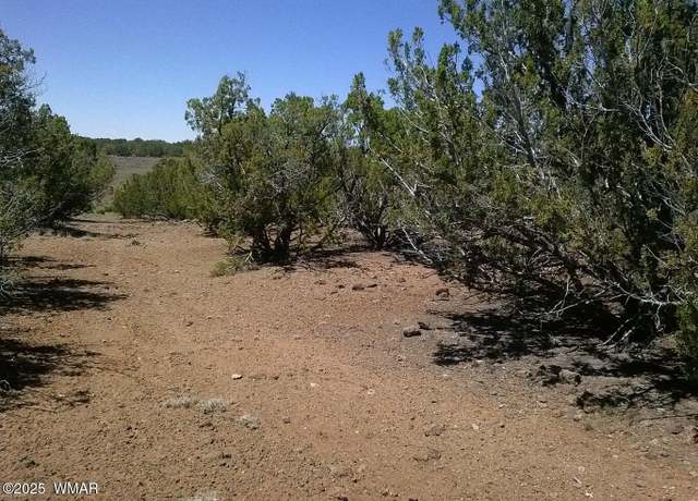 Property at TBD CR 8026, Concho, AZ 85924