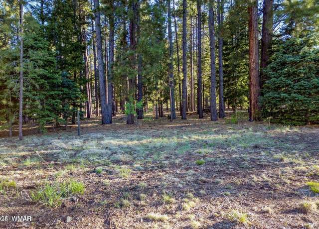 Property at 10 N 1337, Greer, AZ 85927