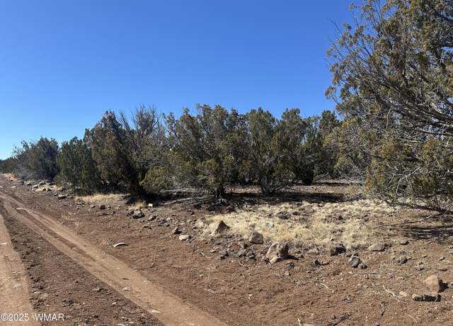 Property at 19 County Road 8230, Concho, AZ 85924