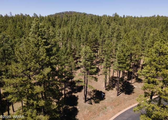 Property at 9586 Sierra Springs Way, Pinetop, AZ 85935