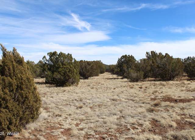 Property at Lot 092C County Road 8238, Concho, AZ 85924