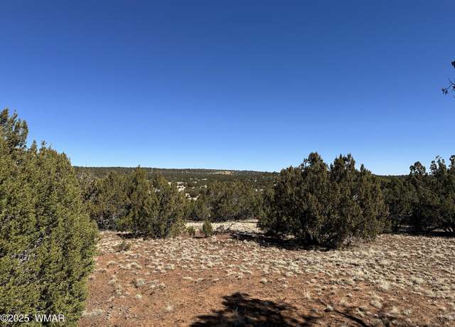 Property at 32 County Road 3048, Concho, AZ 85924