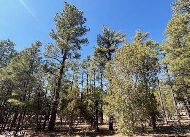 Property at 4790 W Hawthorn Rd Lot 053, Show Low, AZ 85901
