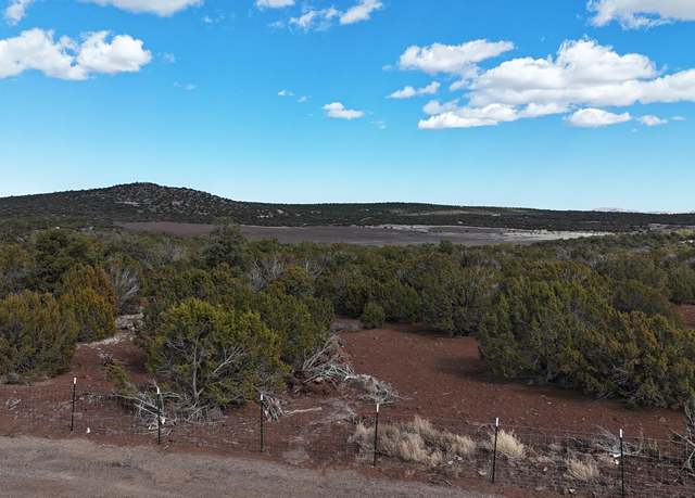 Property at 71 N8225, Concho, AZ 85924