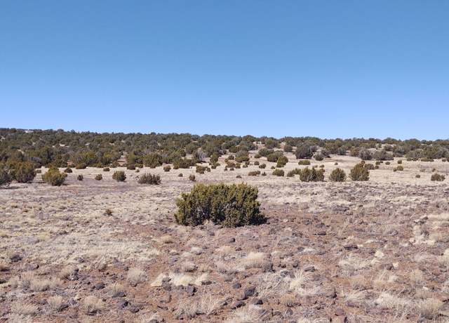 Property at TBD Show Low Pnes, Concho, AZ 85924