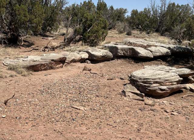 Property at 8580 Lawson Ln Unit Parcel A, Snowflake, AZ 85937