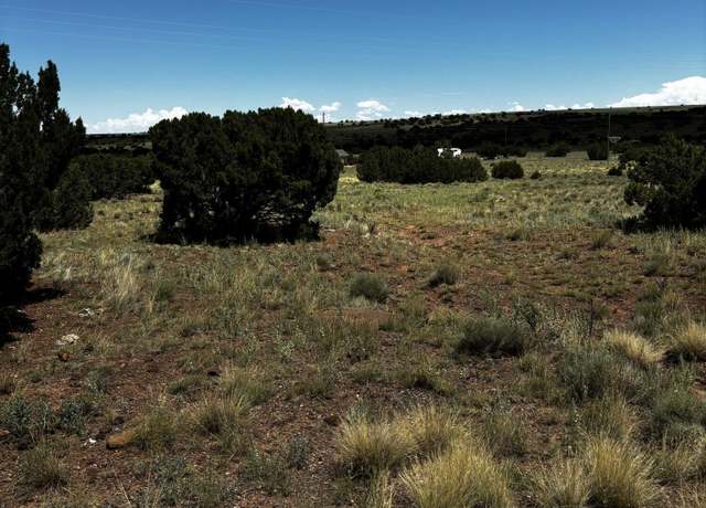 Property at TBD 212-12-014E, Concho, AZ 85924