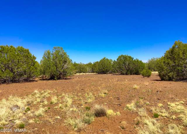 Property at 1528 Falcon Rd Lot B, Show Low, AZ 85901