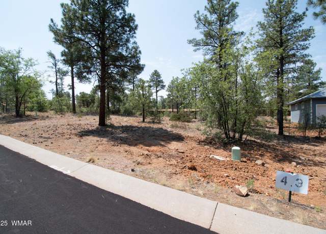 Property at 381 E Huckleberry Ln, Show Low, AZ 85901