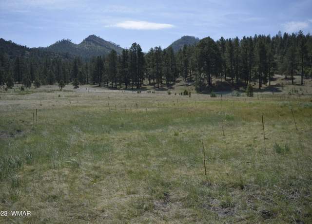 Property at TBD CR 2275, Nutrioso, AZ 85932