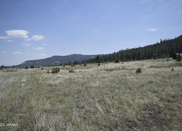 Property at TBD CR 2275 1.22 Acre, Nutrioso, AZ 85932
