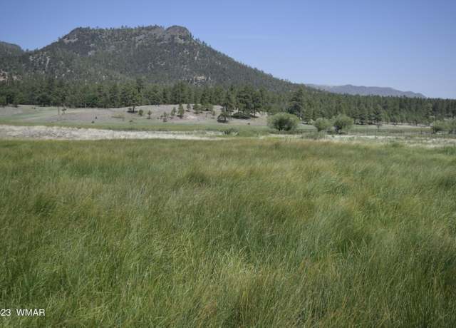 Property at TBD CR 2269, Nutrioso, AZ 85932