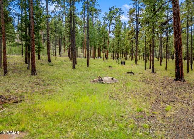 Property at 16 N1062, Greer, AZ 85927